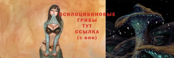 молекула духа Алексин