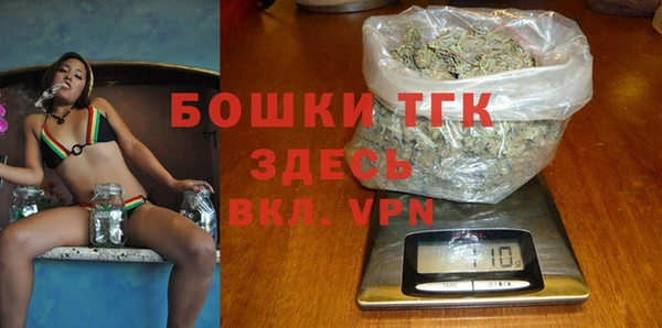 молекула духа Алексин